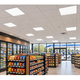 Square LED panel lights shown in a convenience store ceiling