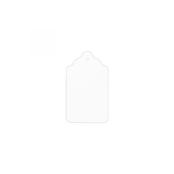 Scallop Tags